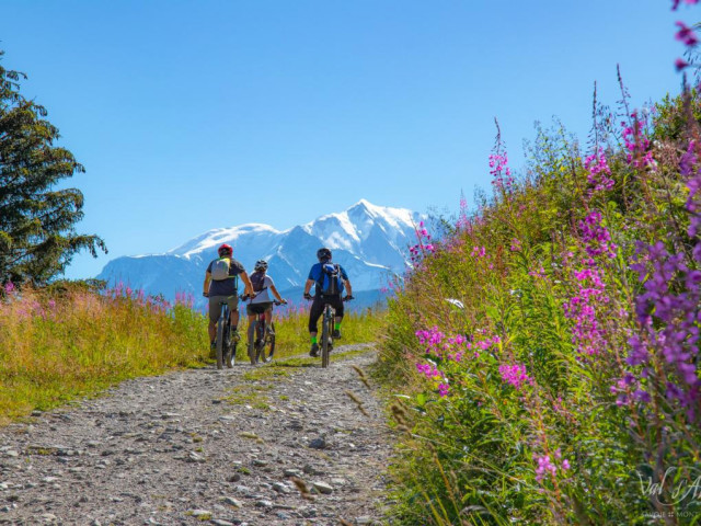 _lv_images__imme_0000000096_10_7680201