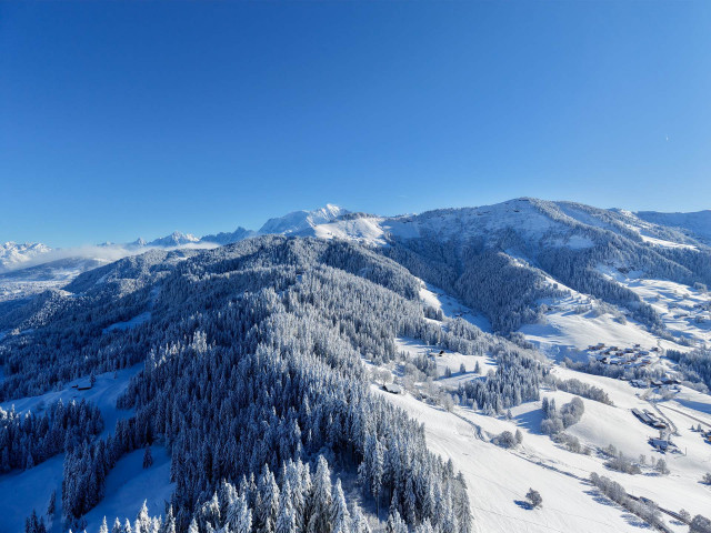 _lv_images__imme_0000000096_12_7659985 _lv_images__imme_0000000096_12_7659985