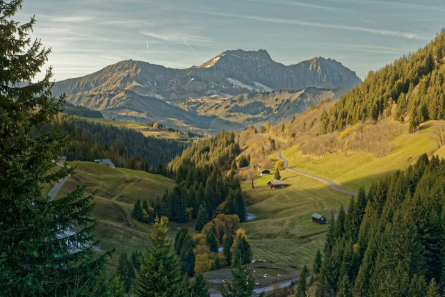 _lv_images__imme_0000000100_08_7616107