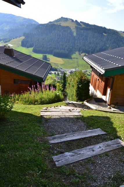 Divers Divers