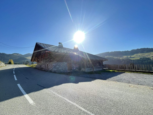 _lv_images__imme_0000000105_01_7461493