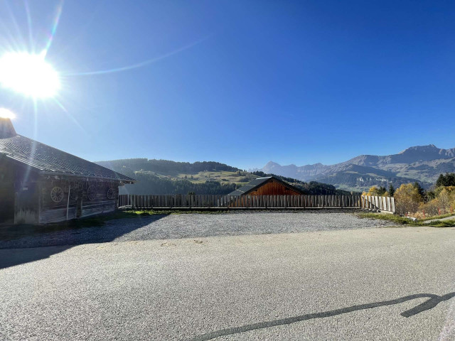 _lv_images__imme_0000000105_04_7226262 _lv_images__imme_0000000105_04_7226262