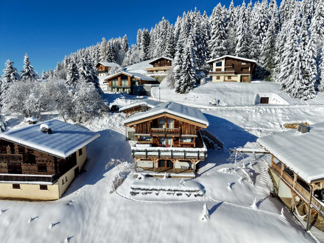 _lv_images__imme_0000000228_01_7461256