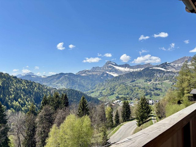 _lv_images__imme_0000000258_01_7759809