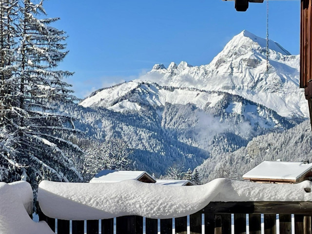 _lv_images__imme_0000000264_02_7695395