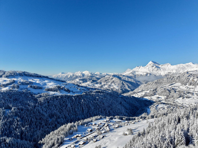 _lv_images__imme_0000000274_15_8309018