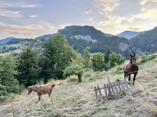 _lv_images__imme_0000000276_04_7176020 _lv_images__imme_0000000276_04_7176020