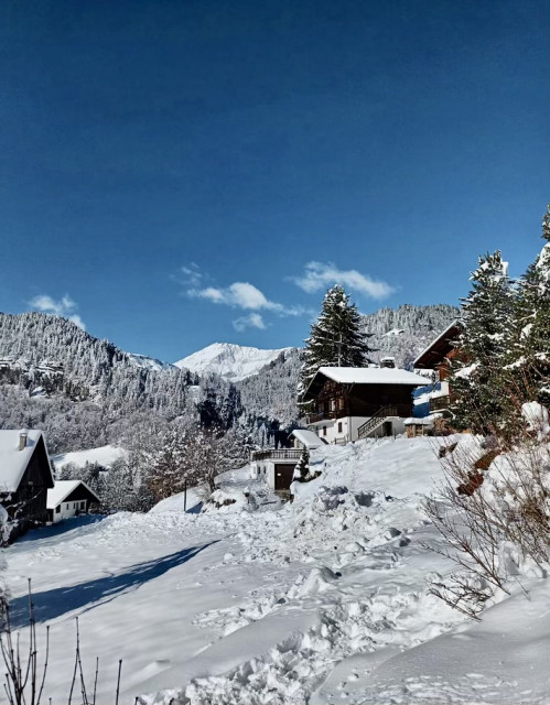 _lv_images__imme_0000000276_09_7010472 _lv_images__imme_0000000276_09_7010472