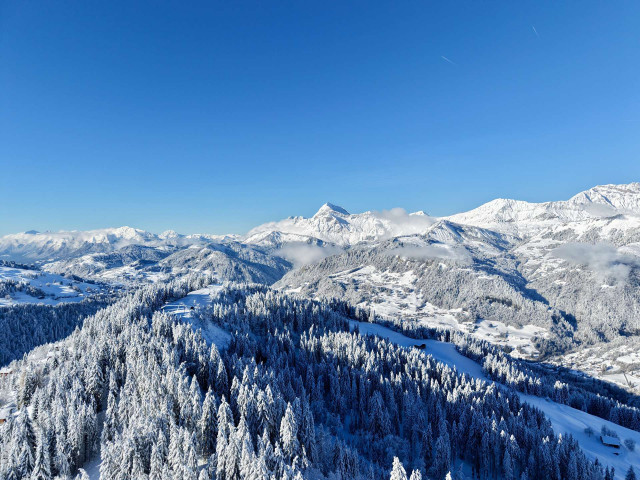 _lv_images__imme_0000000281_05_8431761
