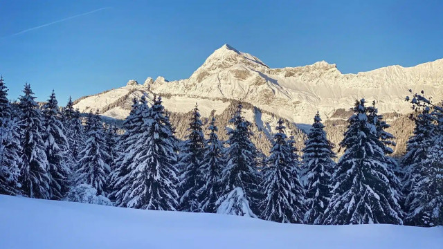 _lv_images__imme_0000000287_03_7208366