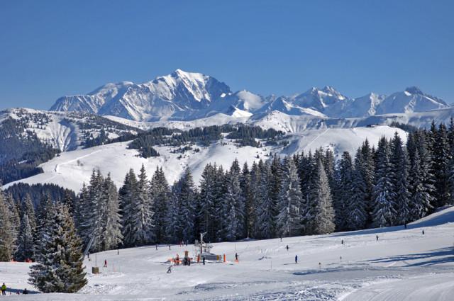 _lv_images__imme_0000000287_06_7835951