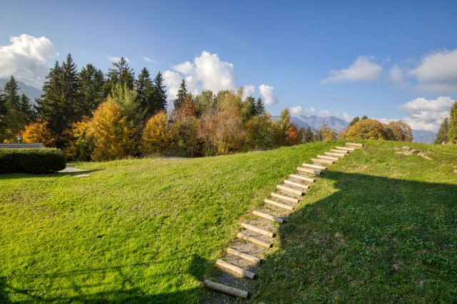 _lv_images__imme_0000000287_08_8313585 _lv_images__imme_0000000287_08_8313585