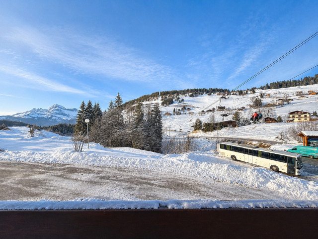 _lv_images__lot_0000020036_02_8303097