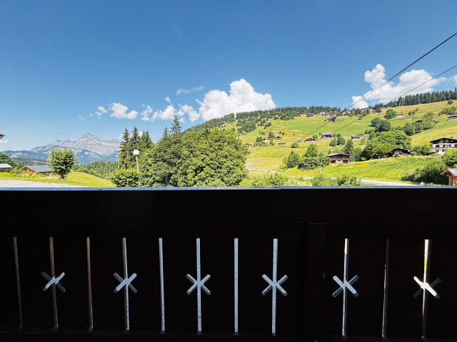 _lv_images__lot_0000020036_12_6981890 _lv_images__lot_0000020036_12_6981890