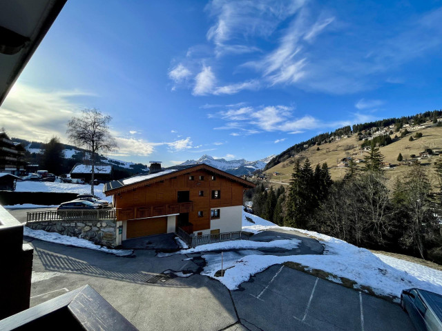 _lv_images__lot_0000020046_08_7601520