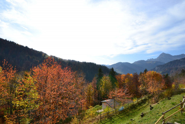 Vue été Vue été