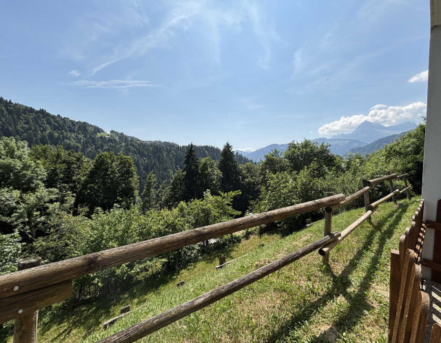 _lv_images__lot_0000100249_02_6834625 _lv_images__lot_0000100249_02_6834625