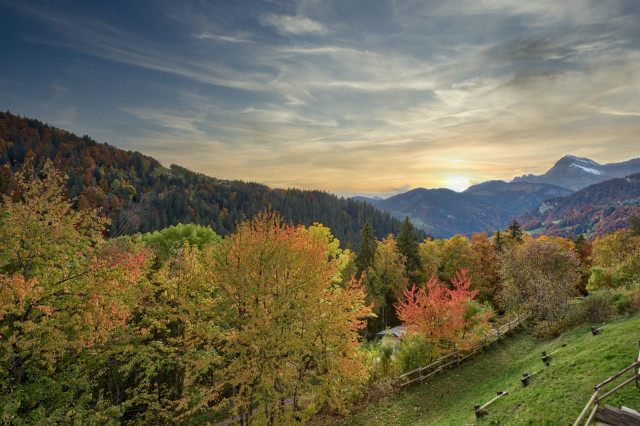 _lv_images__lot_0000100274_09_7016552 _lv_images__lot_0000100274_09_7016552