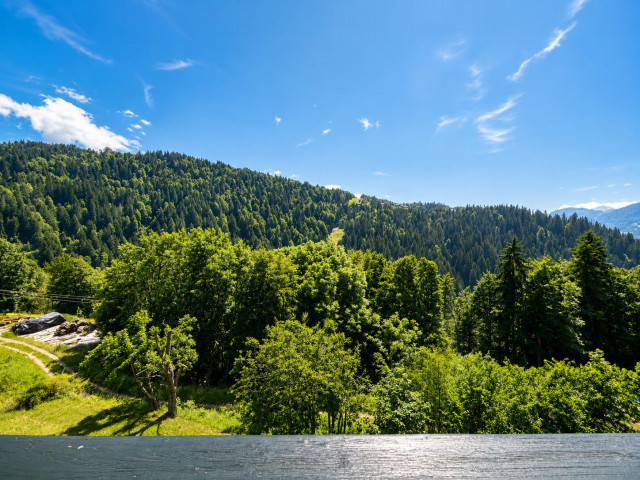_lv_images__lot_0000100280_02_8345698