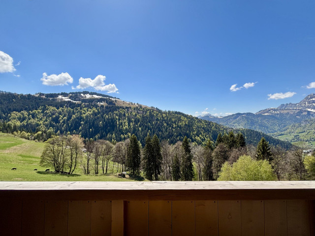 _lv_images__lot_0000680265_16_7751719