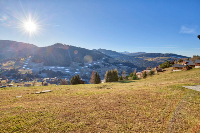 _lv_images__lot_0000830256_07_8333246