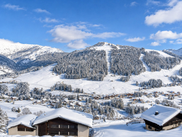 _lv_images__lot_0000850256_12_8418469 _lv_images__lot_0000850256_12_8418469