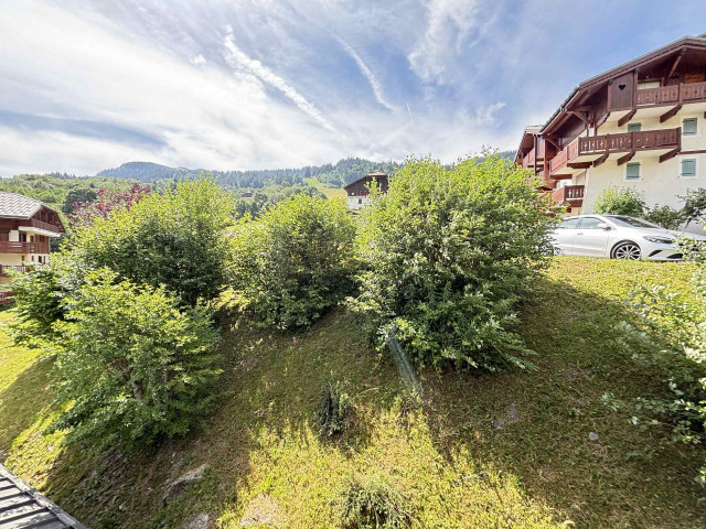 _lv_images__lot_0000860262_14_7938983 _lv_images__lot_0000860262_14_7938983