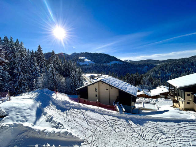 _lv_images__lot_0000970302_09_6846029 _lv_images__lot_0000970302_09_6846029