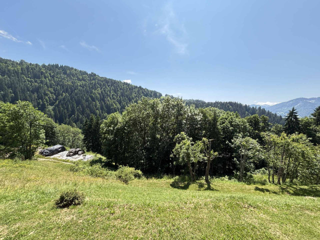 _lv_images__lot_0000970306_06_7681099 _lv_images__lot_0000970306_06_7681099