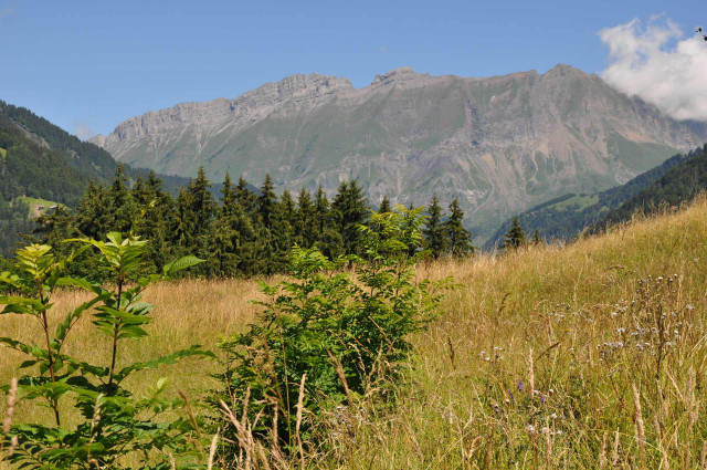 _lv_images__lot_0000970329_10_6937031 _lv_images__lot_0000970329_10_6937031