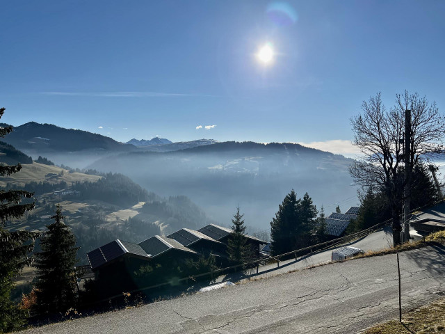 _lv_images__lot_0000970360_06_7637110 _lv_images__lot_0000970360_06_7637110