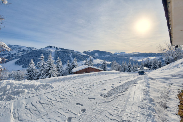 _lv_images__lot_0000970369_04_7899684 _lv_images__lot_0000970369_04_7899684