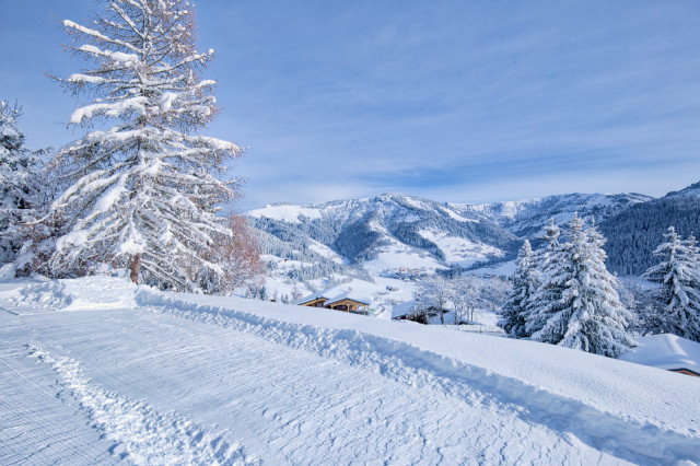 _lv_images__lot_0000970369_07_7681035 _lv_images__lot_0000970369_07_7681035