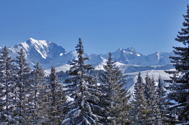 _lv_images__lot_0000970370_10_8295551 _lv_images__lot_0000970370_10_8295551