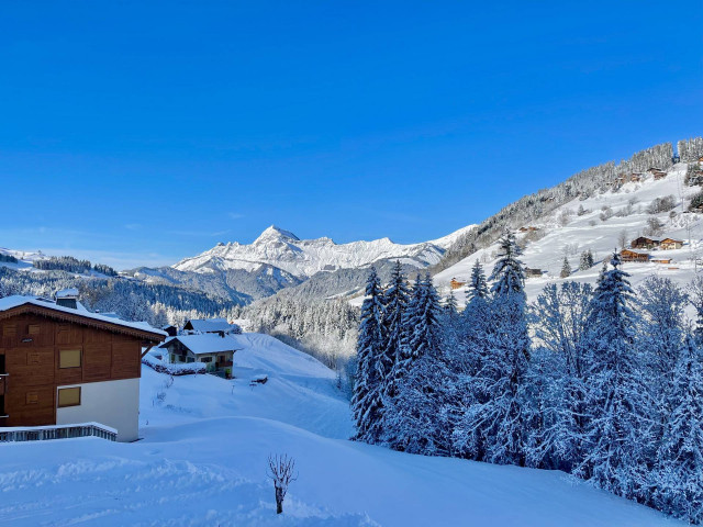 _lv_images__lot_0000970388_14_7334487