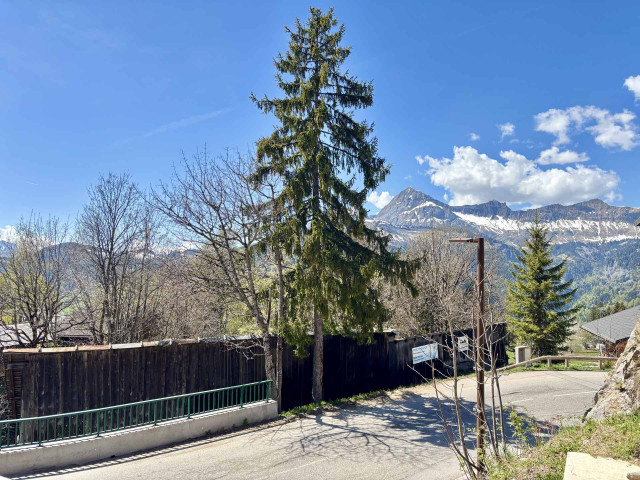 _lv_images__lot_0000970401_05_7762241