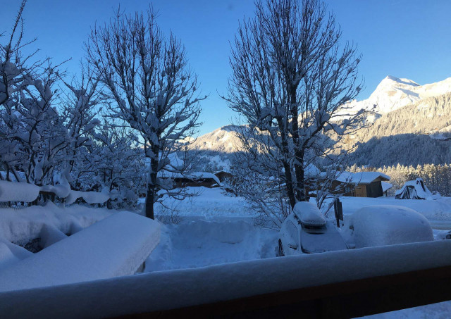 _lv_images__lot_0000970408_12_7681880