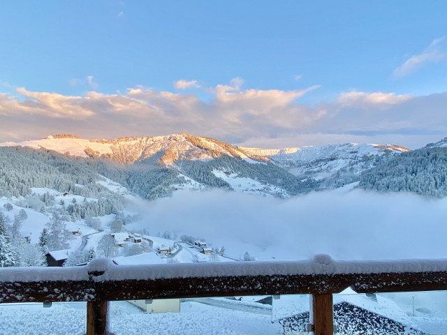 _lv_images__lot_0000970410_10_6981994 _lv_images__lot_0000970410_10_6981994