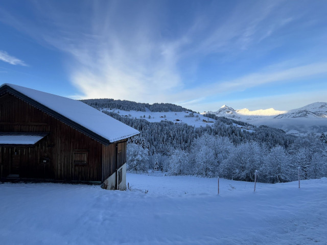 _lv_images__lot_0000970423_04_7386571