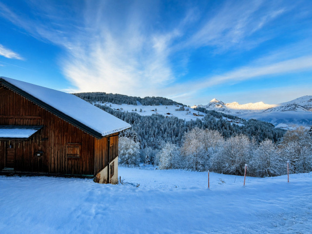 _lv_images__lot_0000970423_04_8406452