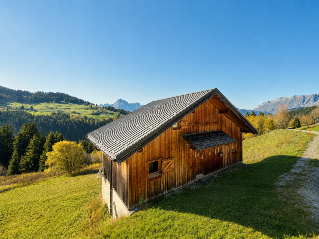 _lv_images__lot_0000970423_12_8406464