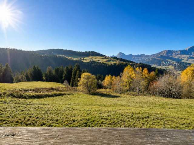 _lv_images__lot_0000970423_14_8399495 _lv_images__lot_0000970423_14_8399495