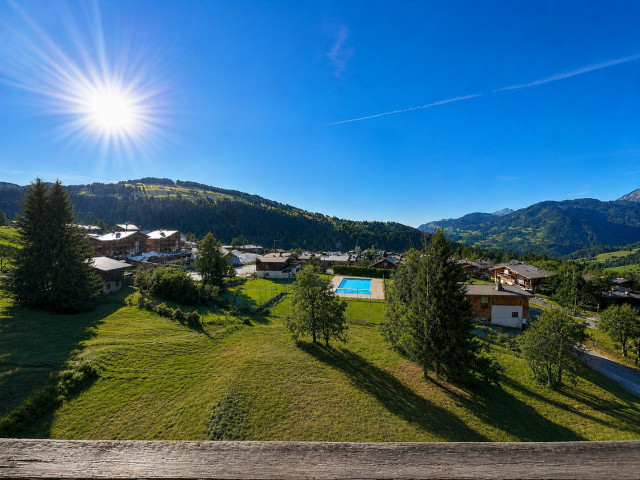 _lv_images__lot_0000970450_02_8388413