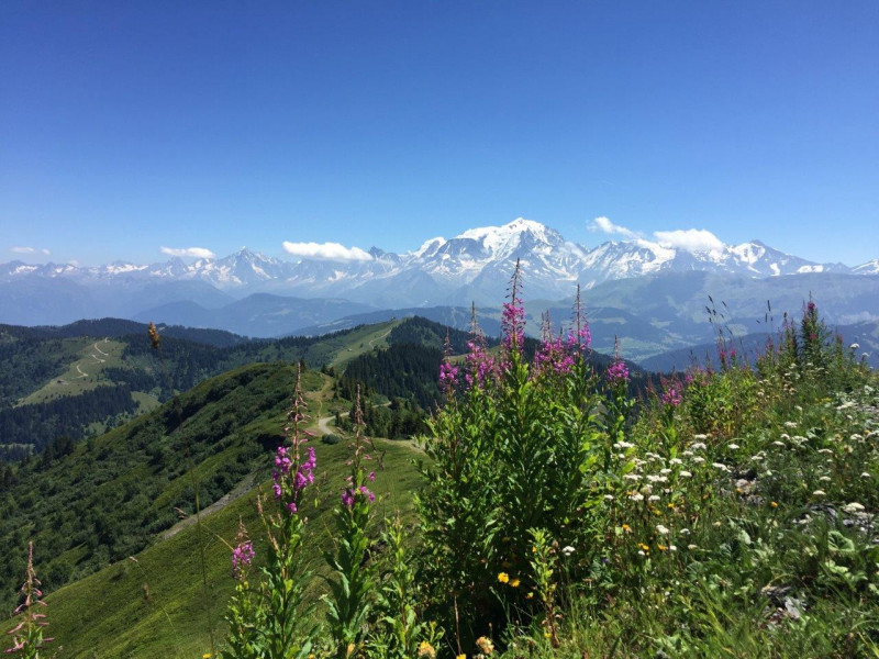 Balade dans le Val d'Arly Vue sur le Mont Blanc