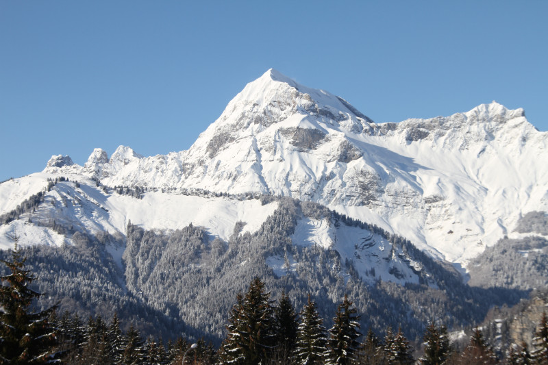 Chalet La Marmotte, Vue sur le Mont Charvin
