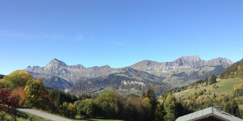 vue de puis le chalet