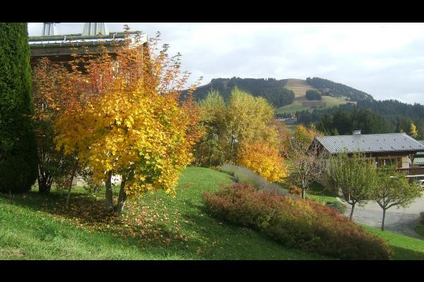 l'automne près du chalet