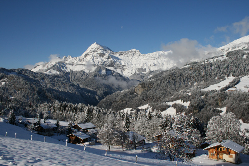 Chalet La Marmotte Vue Mont Charvin