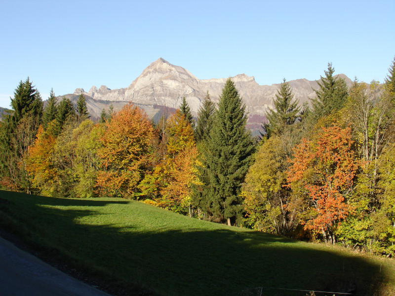 Aux-chalets-des-alpes, Crest-Voland, Savoie