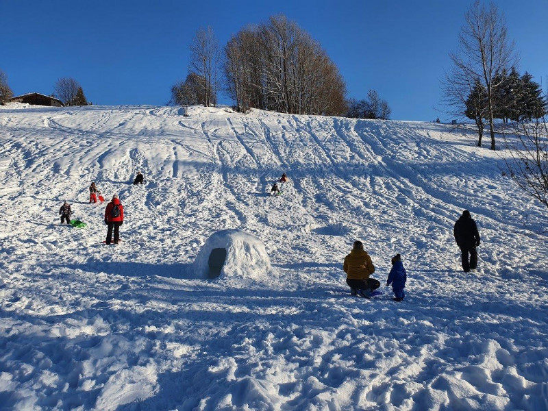 Aux-chalets-des-alpes, Crest-Voland, Savoie Piste de luge